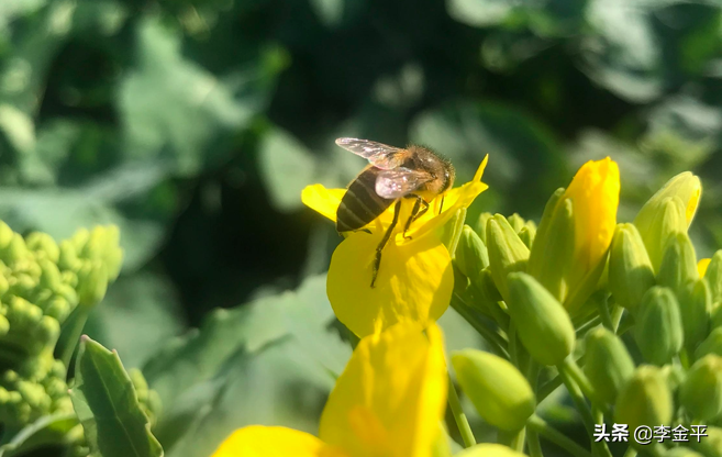 可貞教育｜我見青山多嫵媚；料青山見我應如是
