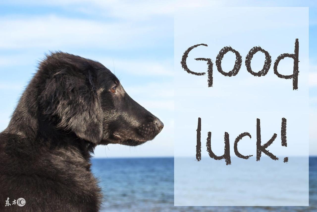 簡明十個步驟八字算命法