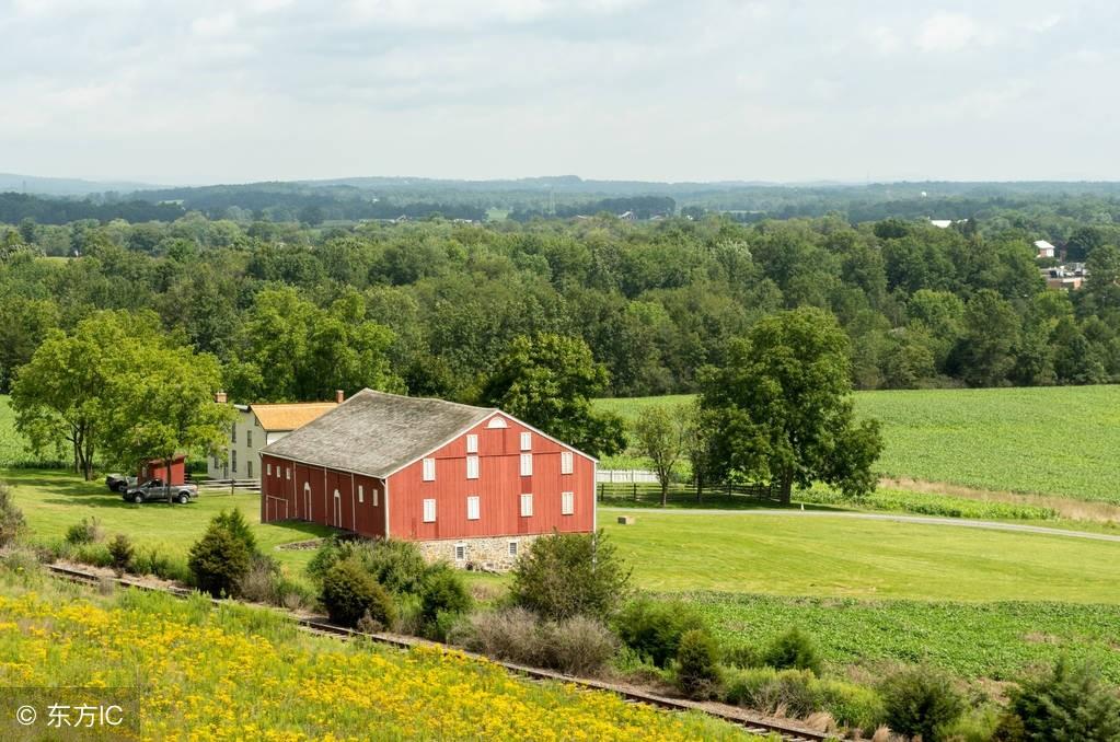 農村宅前院內有樹是吉是凶？30年相宅風水師為你解讀！值得收藏！