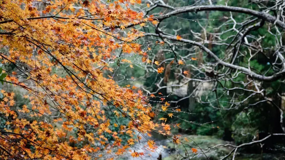 後半生，你越活越好的7個跡象！