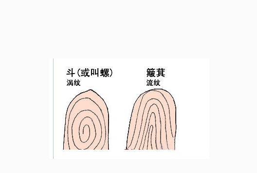 一斗窮,二鬥富,十斗一生不求人,你手指有幾個斗呢?