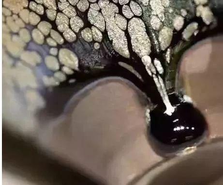 建盞,看胎顏色就可判斷是否為鐵胎?