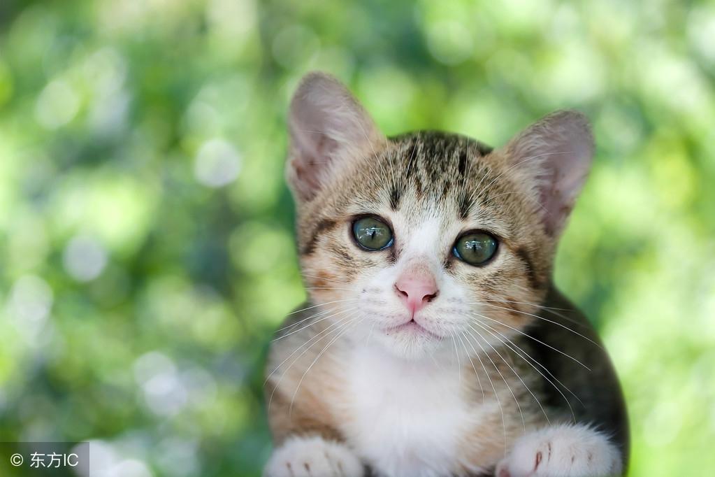 哪些八字的人到了中年後容易出現肢體不便？值得收藏！