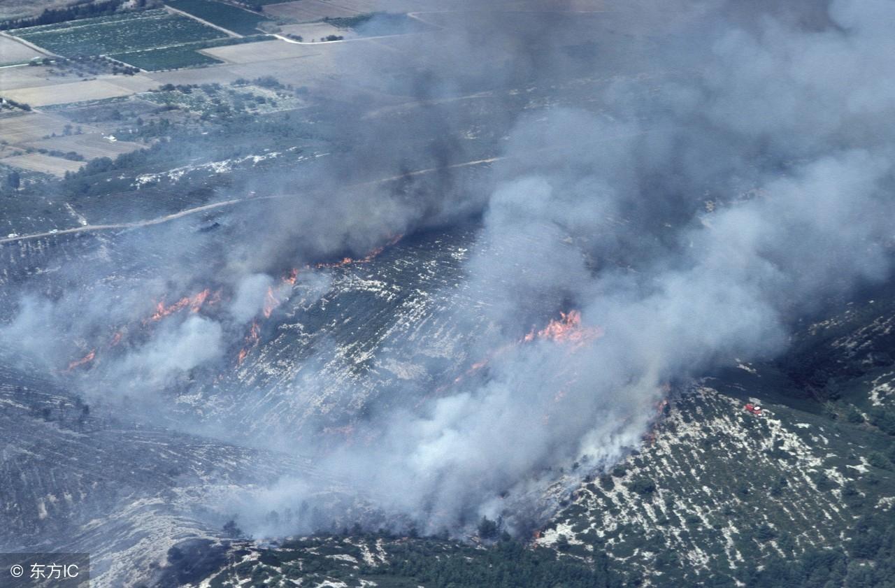 災難前的徵兆,資深命理師教您如何化解,值得收藏!