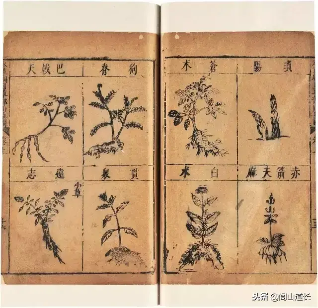 閭山道長：一篇口訣，通曉中國5000年文化！