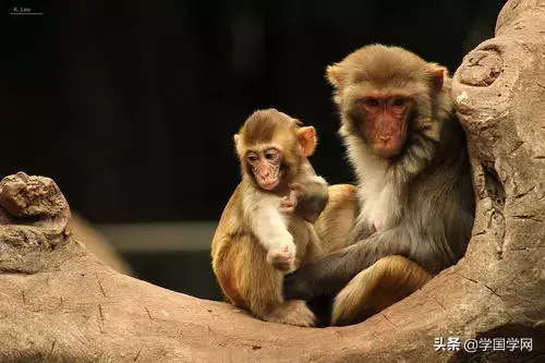 4個小故事，很短，卻影響了上億人