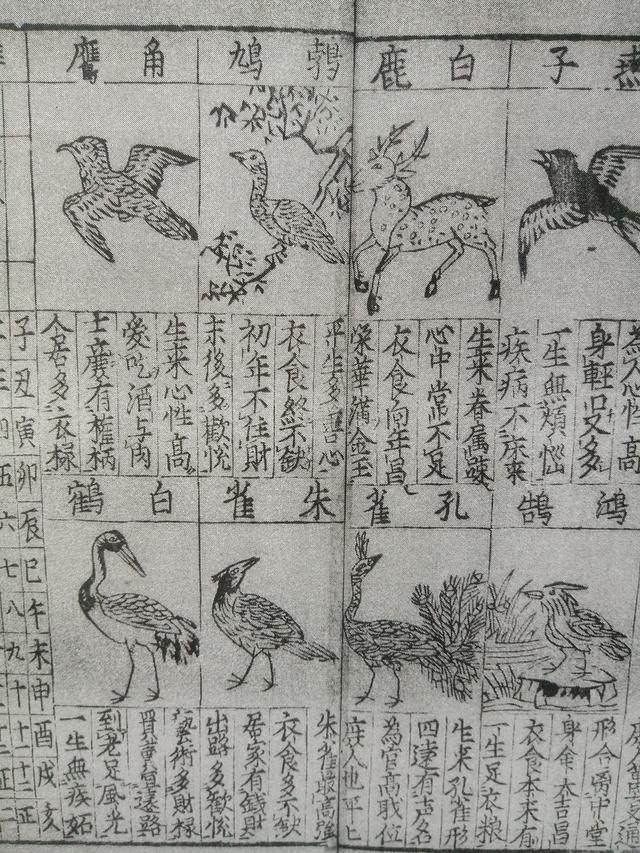 中华经典:男女“十二命形态篇”奉上