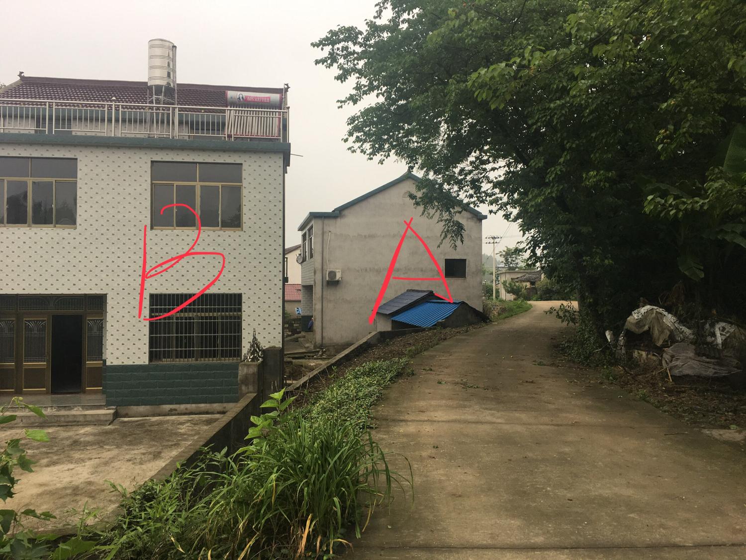 看看！出長壽之人的房子長啥樣子