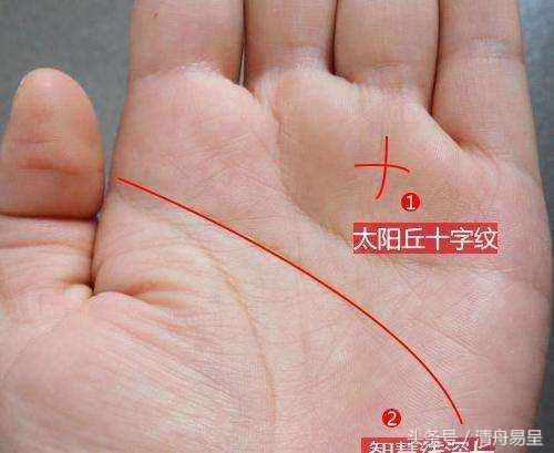 手有一紋，財運上門！手中有這幾條「星紋」運勢如虹，財運好！