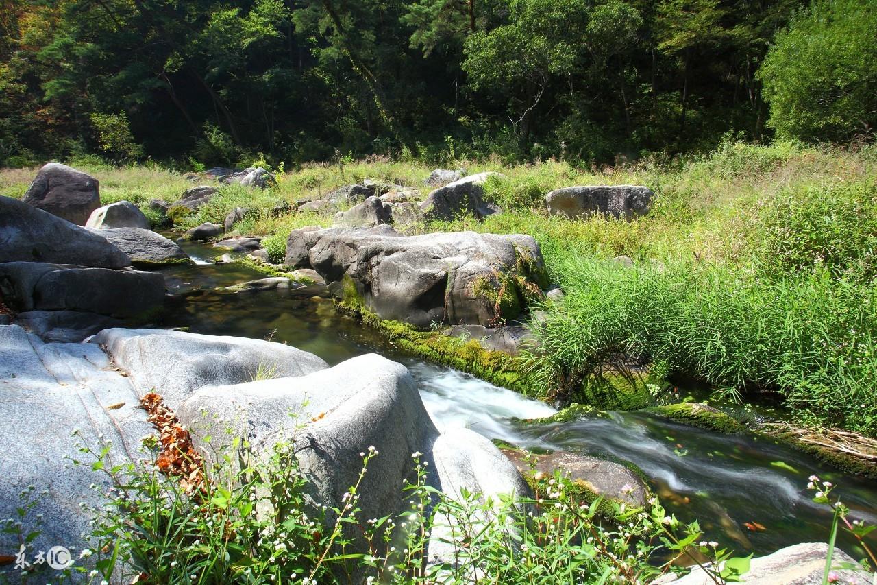 奇門遁甲與六壬有何區別？