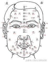 易學秘術面相口訣20條，經典流傳，助您一眼看懂人