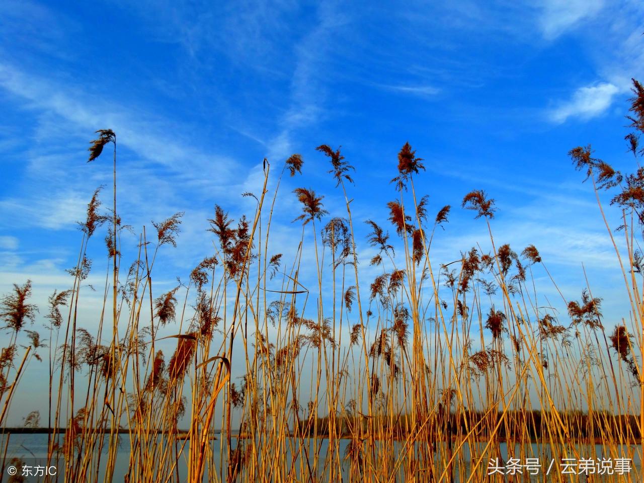 資深風水師告訴你：做到這三點命格層次高，運氣到來如有神助！