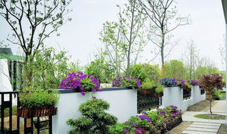 庭院植物四大風水禁忌,庭院植物種植有哪些風水禁忌