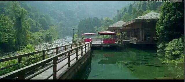 世間不會有無緣無故的相逢