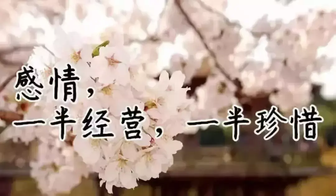 故事很短，卻說透了我們的一生，我看了10遍！（值得收藏）