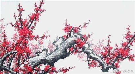 梅花易數預測—疾病