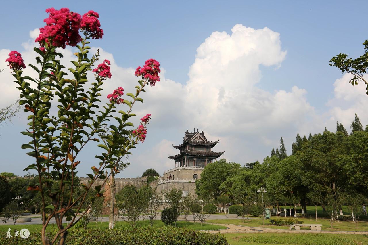 妙光命理風水：談談紫微斗數中地支宮位的陰陽五行