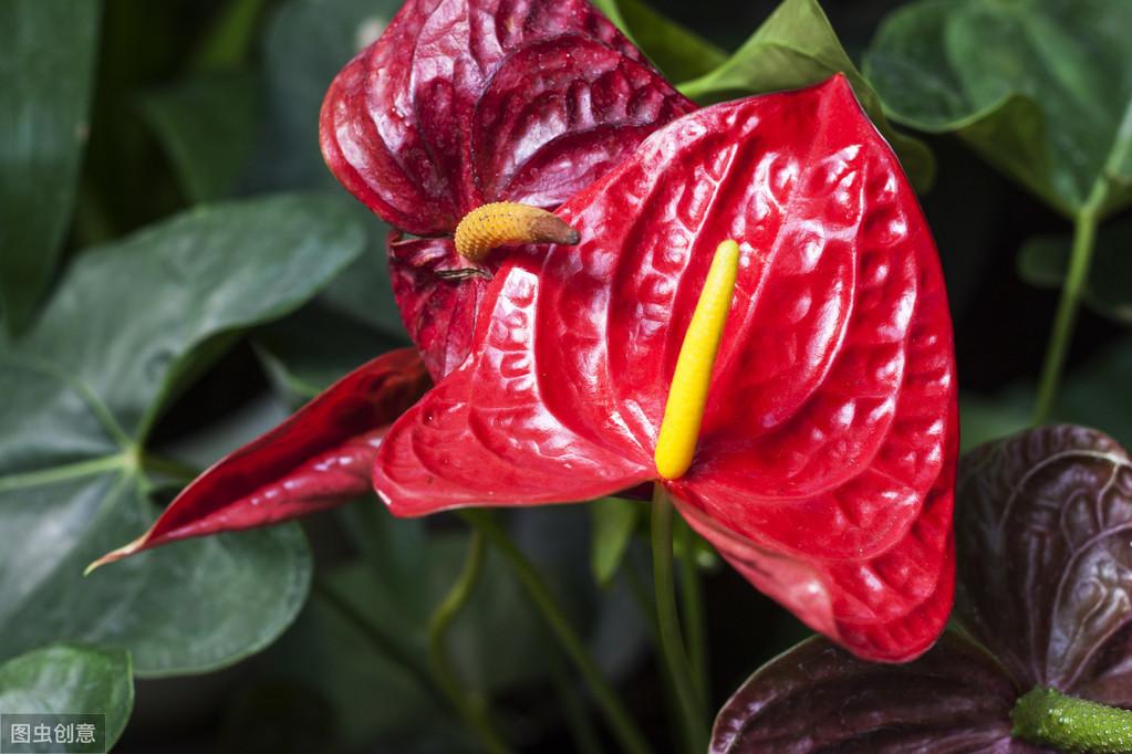 家居風水：改善客廳風水的妙招