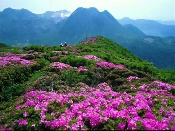 世間不會有無緣無故的相逢