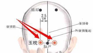 人的氣脈丹田玉枕穴的位置、摸這個地方，會越來越長壽