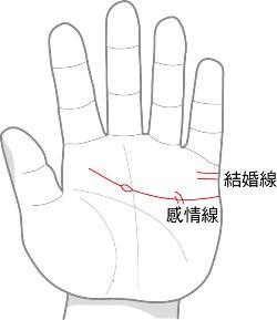 你不知的手相卻息息關聯你身體的健康，特別是從感情線上准爆了！