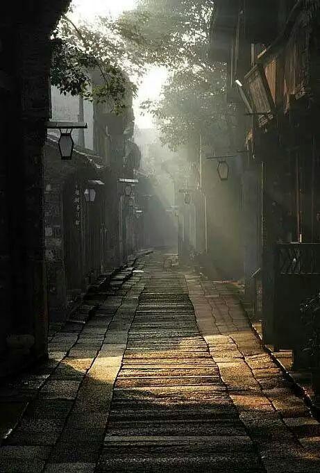 我的目光不長 正好是生命的一個輪迴