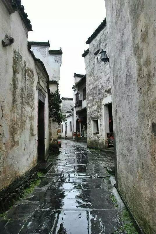 我的目光不長 正好是生命的一個輪迴