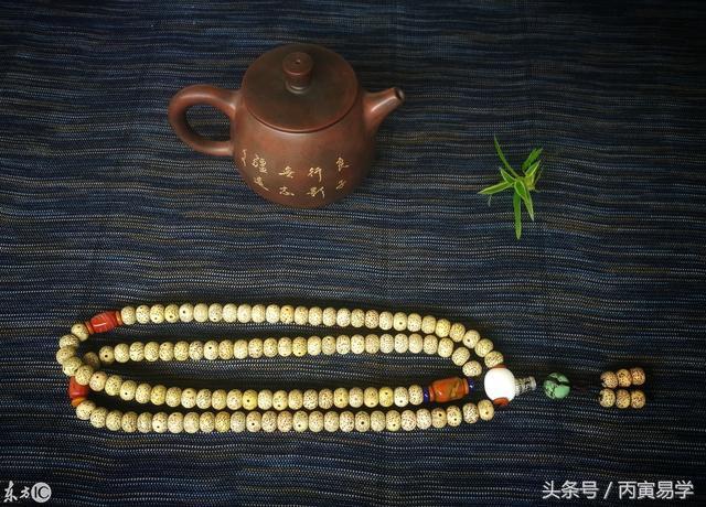 言之有據，實例探秘雙胞胎孩子的命運差別