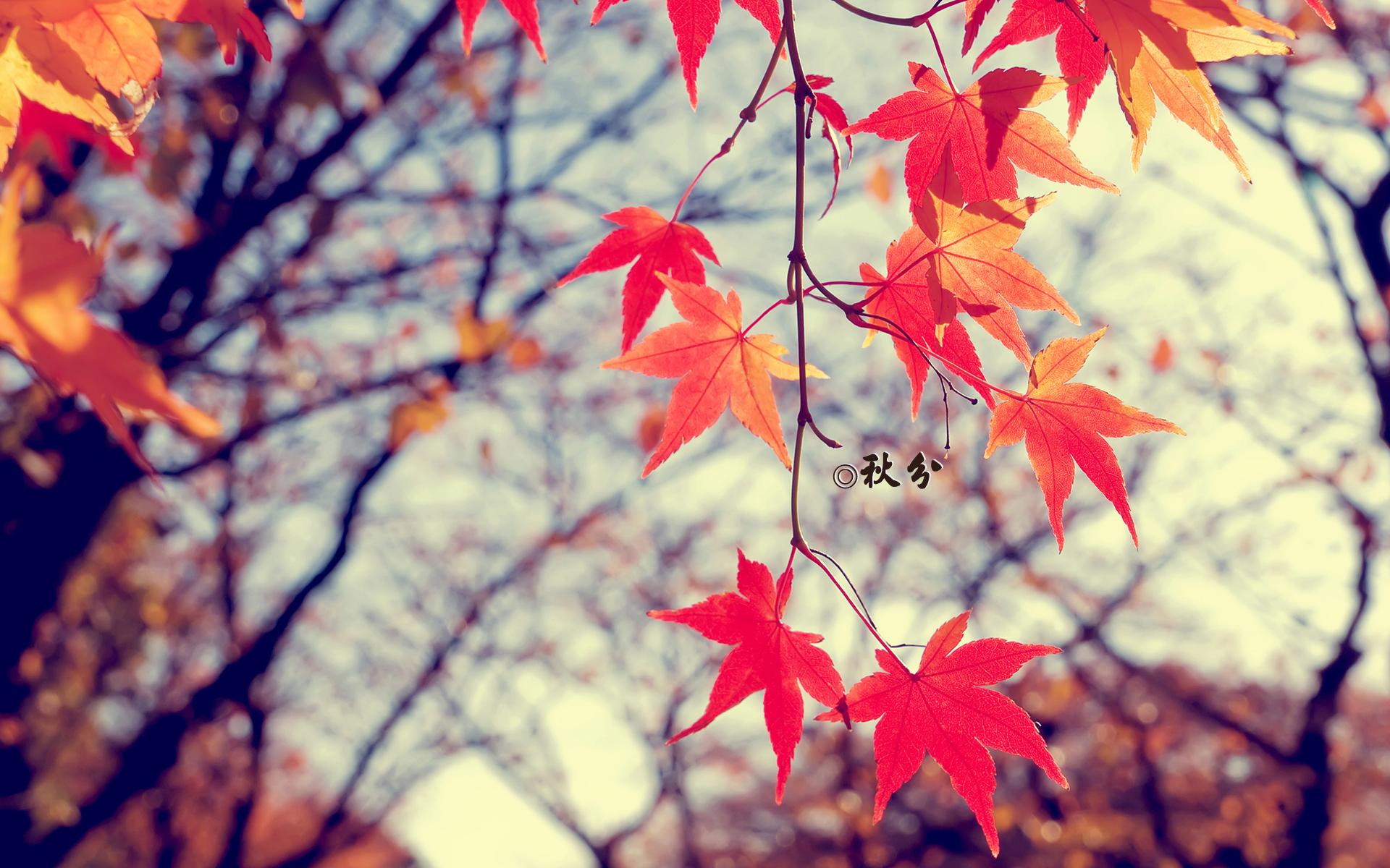 9月22號秋分之日，如何旺運你知道嗎？