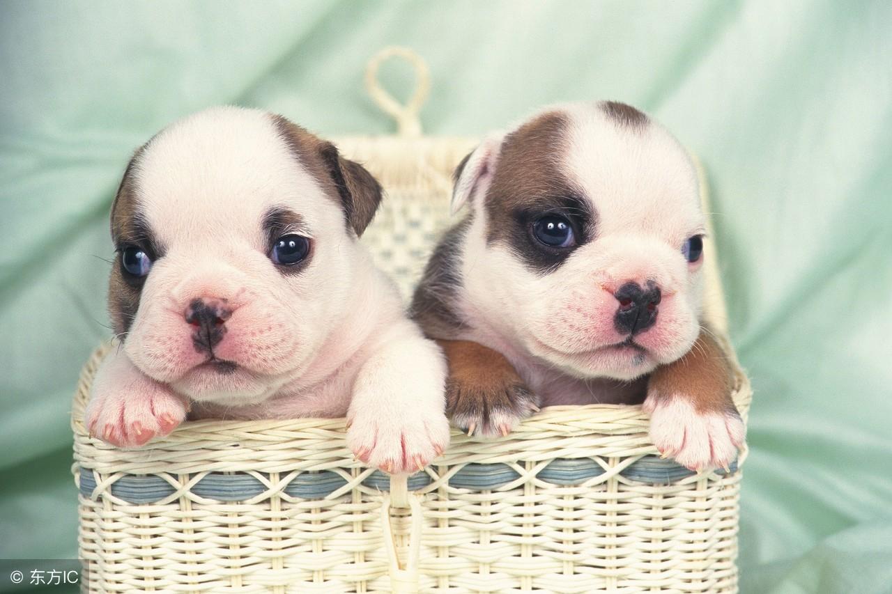 五一前後,這六種現實徵兆暗示你和家族要飛黃騰達!不可不察!