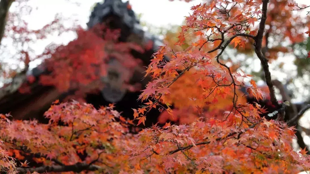 後半生，你越活越好的7個跡象！