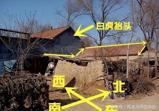 風水俗語「不怕青龍高萬丈，就怕白虎抬頭望」 是什麼意思