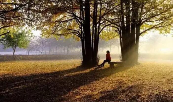 11月份哪些人的工作事業財運好