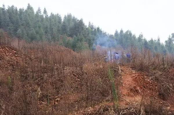 建盞古今：宋朝皇室御用茶具的前世今生