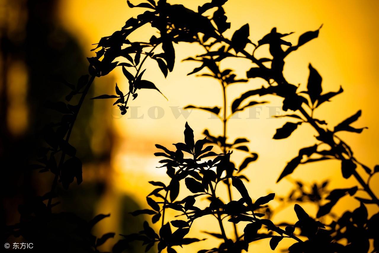 資深算命先生自述的人生道理感悟，句句真理，值得收藏！