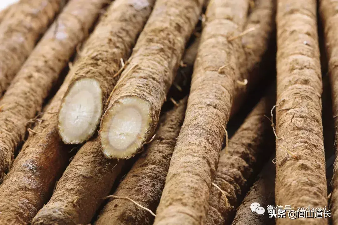 身邊的天然解毒王，每周來一點，給肝臟排毒，給血管洗澡！