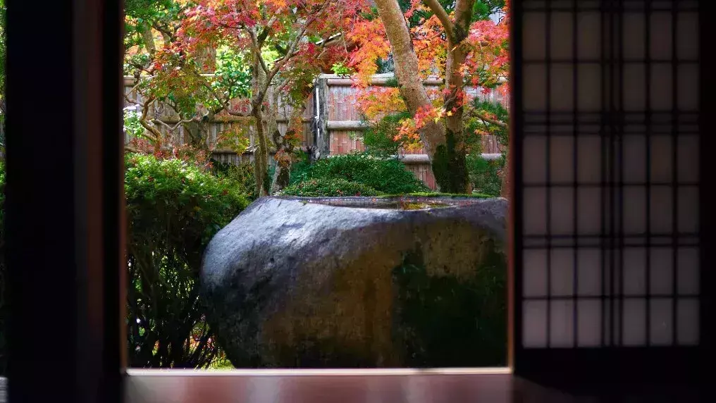 後半生，你越活越好的7個跡象！