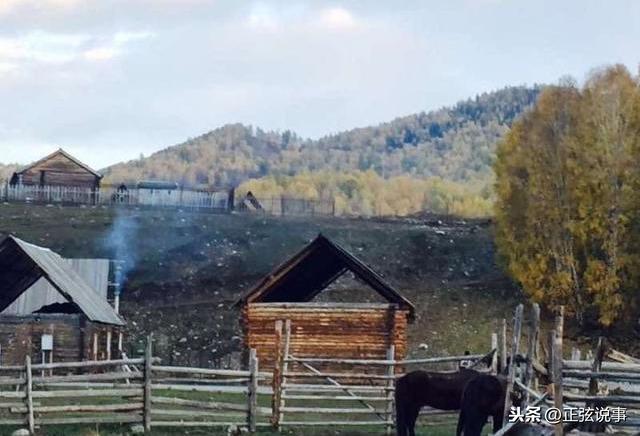 在沒有父母的老屋，你只是故鄉的客人