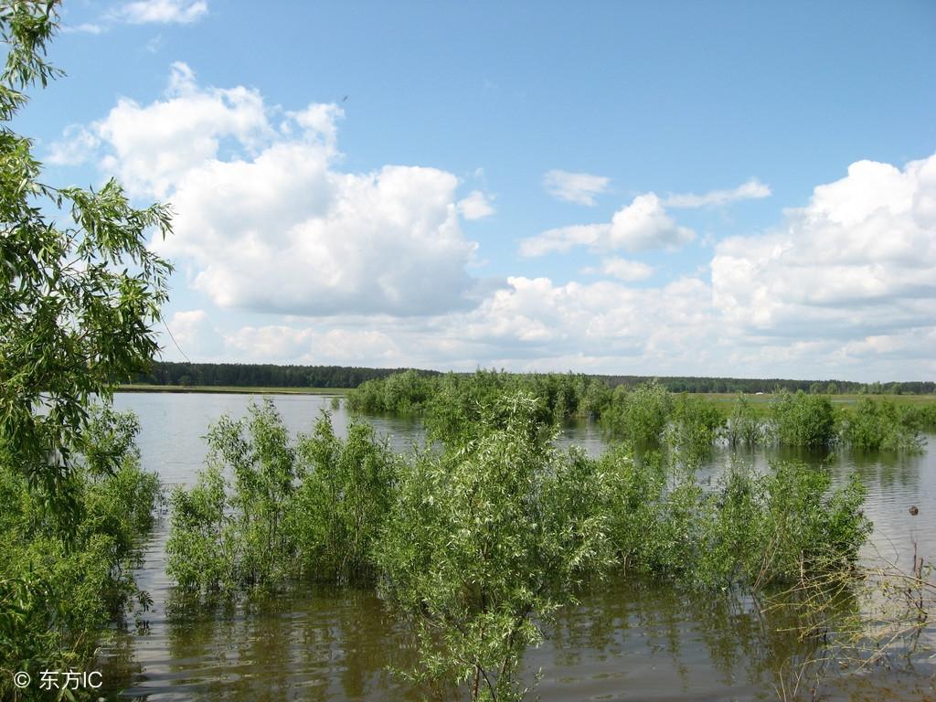 老太太客死路旁，眾人將其就地埋葬，想不到若干年後竟成風水寶地