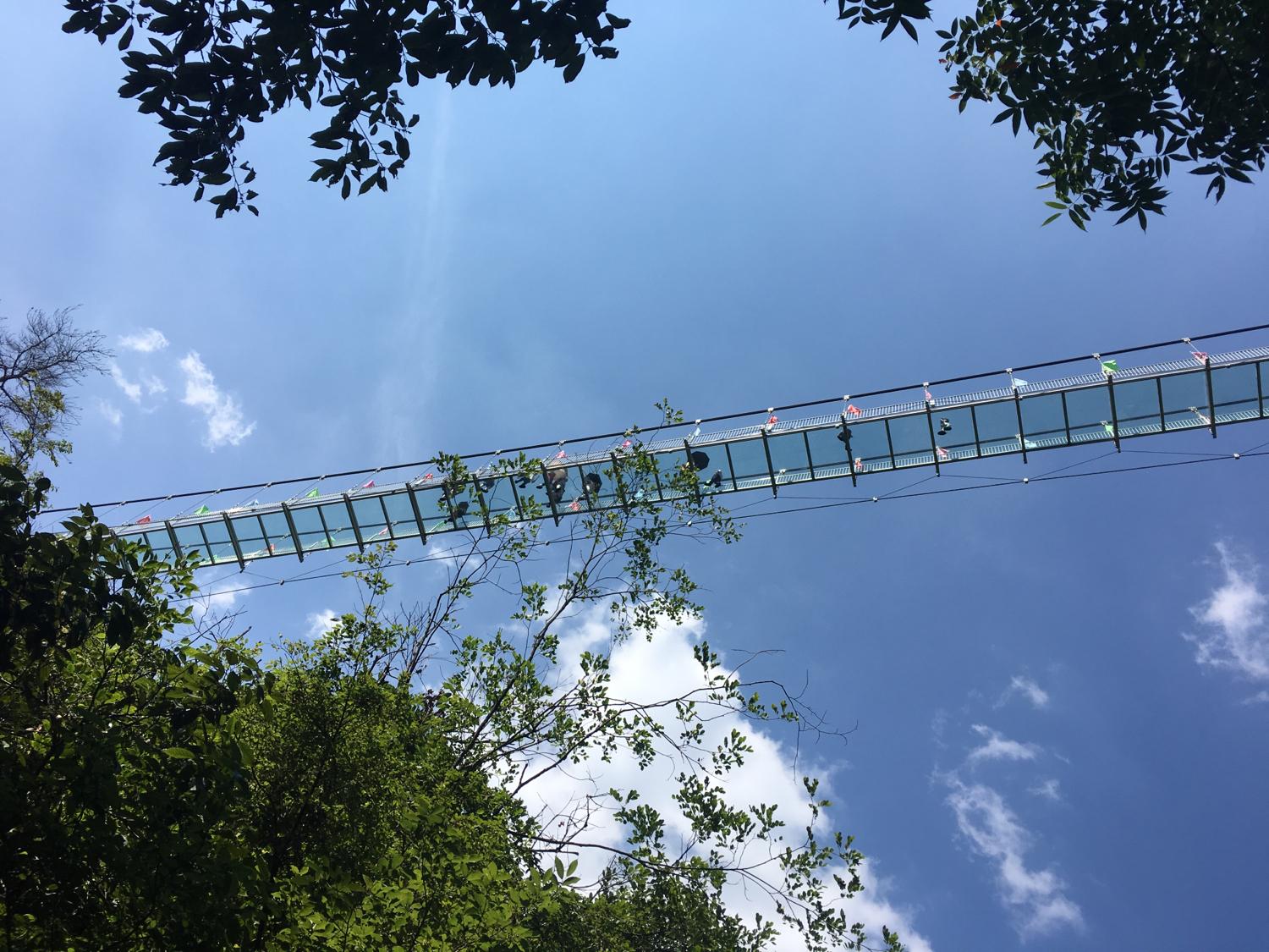 陰宅立命之根，陽宅養命之原—論陰陽宅