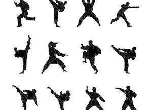 至善至德禪武醫