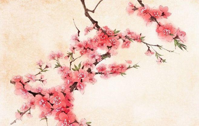 人命犯桃花好還是不好?