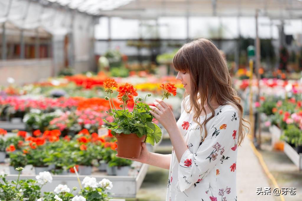 也會有人給你買花，匆匆忙忙地想去見你