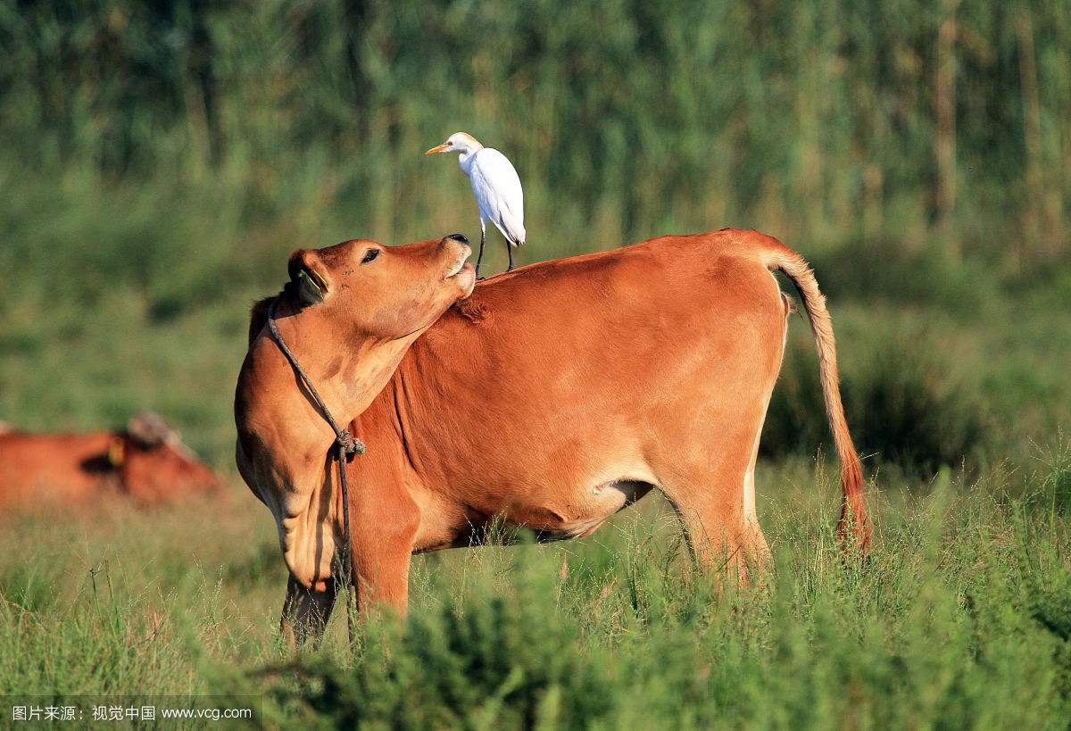 算命先生斷言：這四年出生的人只要熬過38歲，福緣自己找上門來！