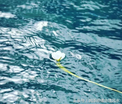 家中存不住錢的風水，如何化解？