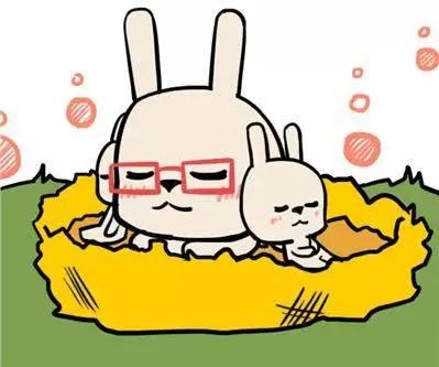 十二生肖哪個月出生命最好?點開我告訴你~