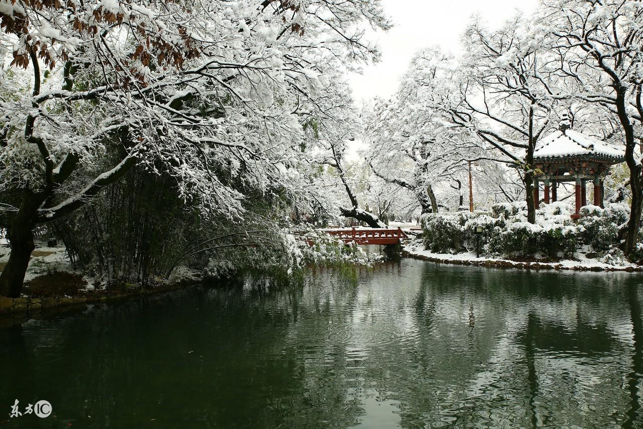 奇門遁甲與六壬有何區別？