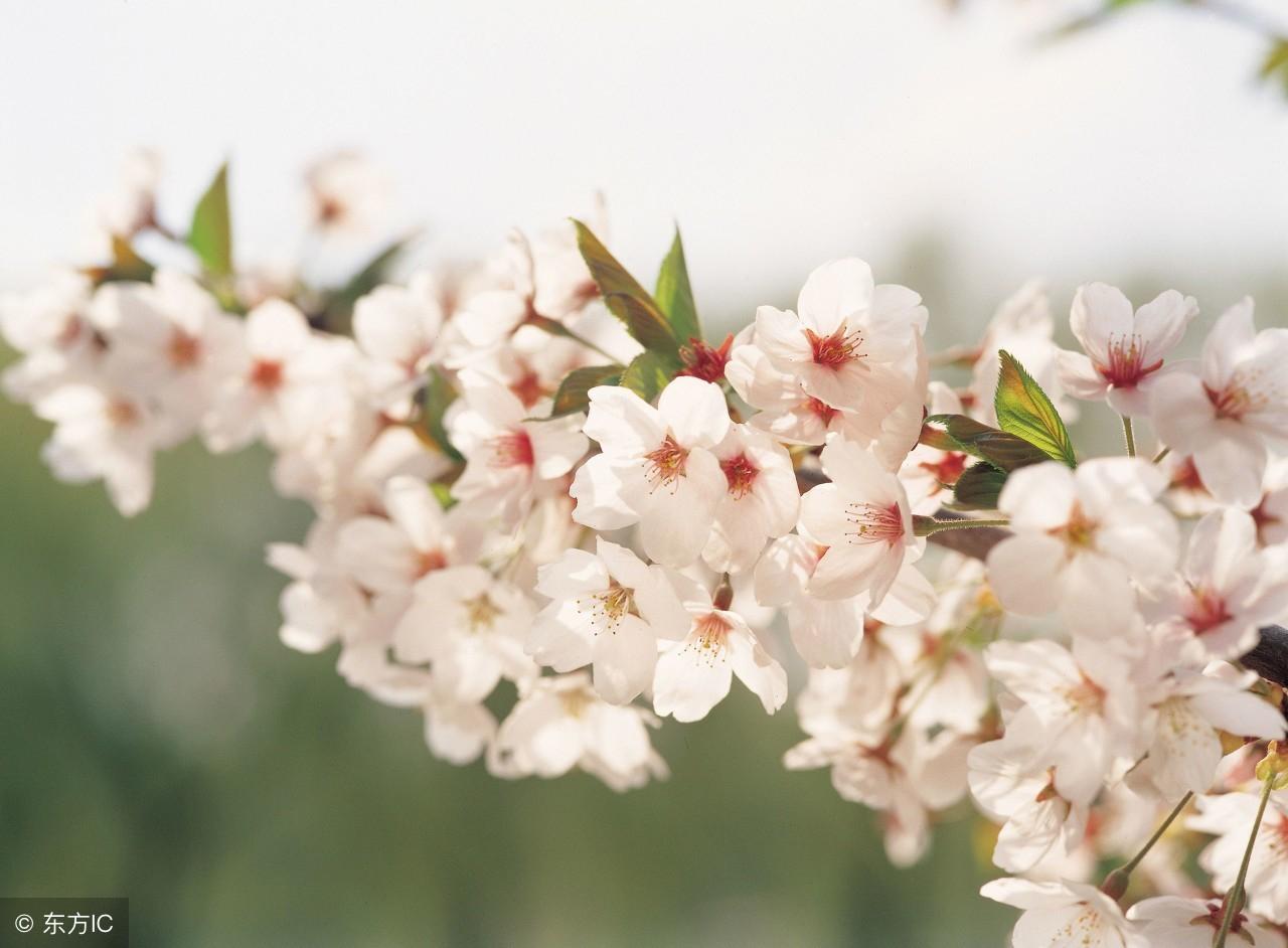 關於看婚戀的經驗絕招，看過數萬命例的風水師傅總結的，值得收藏