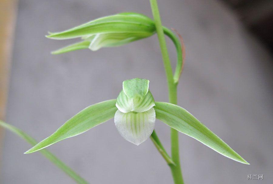 心想居2017.02.09生活錦囊