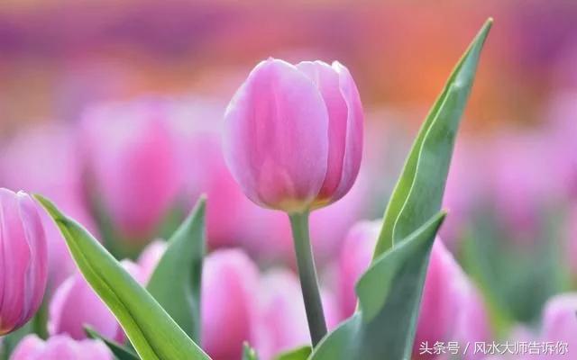 民間風水口訣20 條，學會不求人